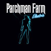 Electric  by Parchman Farm 