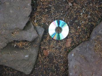 soundscape
