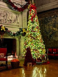 Biltmore Christmas Candlelight