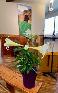 Marilynn Seits  plays for Sunday service at First Christian Church Asheville. 