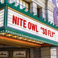 So Fly by Nite Owl