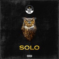 Solo by Nite Owl