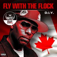 D.I.Y. by Nite Owl