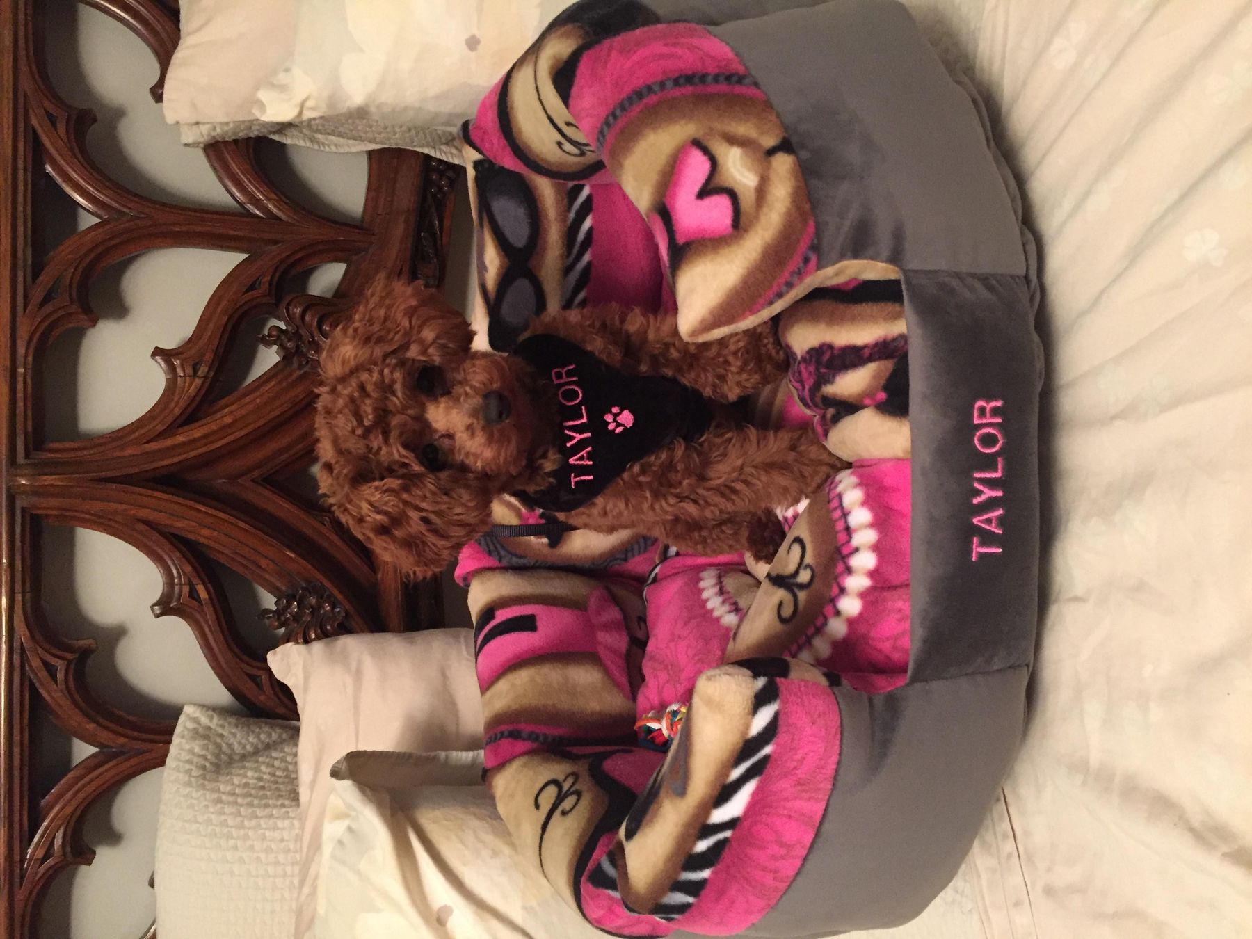 Custom Made Pet Products Celebrity Pet Beds