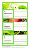 FREE | Bites | Simple S.A.L.A.D.S. Journal Worksheet
