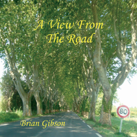 A View from the Road by Brian Gibson