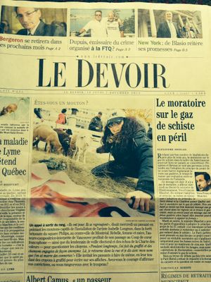 Isabelle s'installe avec ses agneaux en plein centre ville de Montréal:
Isabelle fait la première page du quotidien de Montréal le DEVOIR