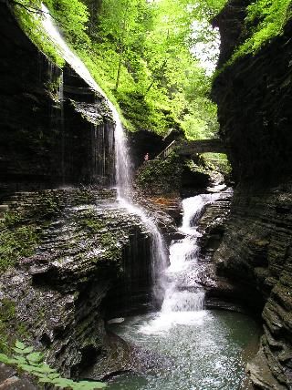 Watkin's Glen
