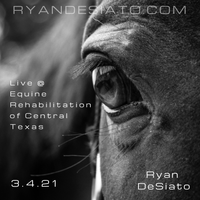 Ryan DeSiato live at Equine Rehabilitation of Central Texas