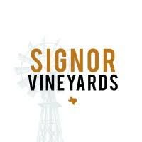 Ryan DeSiato live at Signor Vineyards