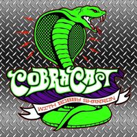 Ryan DeSiato live on Cobra Cast Podcast