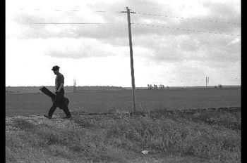 Walkin' to Memphis
