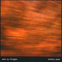 wake up. struggle.: CD