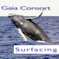 Surfacing by Gaia Consort