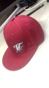 New Logo Snapbacks