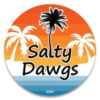 Salty Dawgs Rockin the NC July 4th Festival