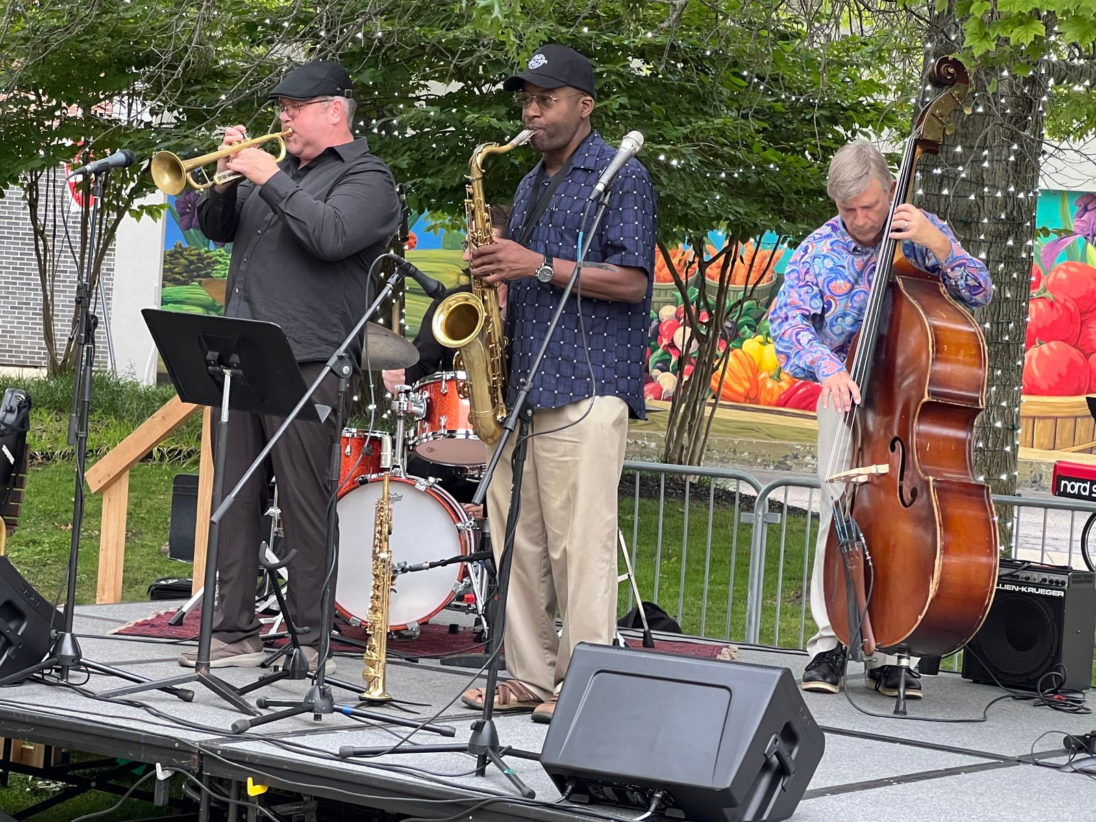 Sout Haven Jazz Festival Photos