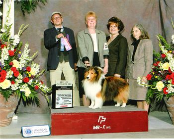 Tuffy winning his last major to finish on the first weekend of the tough Florida Winter Circuit, handled by Kathy Dziegel, proud co-owners Dione and myself joining the celebration.
