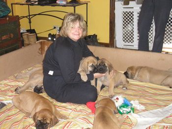 Matt's mom Angela taking care of the pups.
