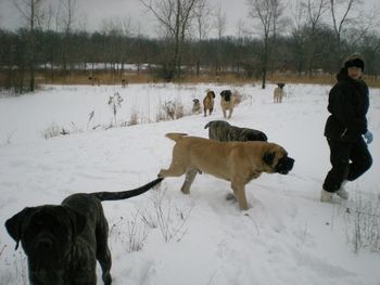 Dena with her Dogs
