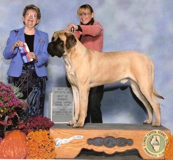 BOS & BOW - October 2006 - Illinois Capitol Kennel Club - Springfield / Illinois

