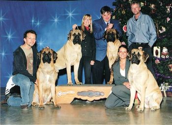 Cricket, Gable, Gaius & Lily
