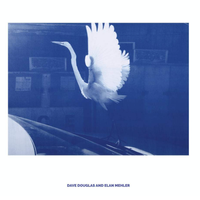 If There Are Mountains by Dave Douglas and Elan Mehler