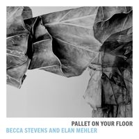 Pallet On Your Floor by Becca Stevens and Elan Mehler