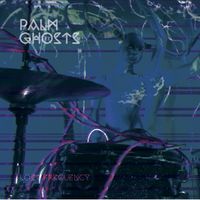 The Lost Frequency by Palm Ghosts