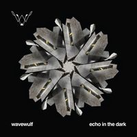 Echo In The Dark - Single by Wavewulf