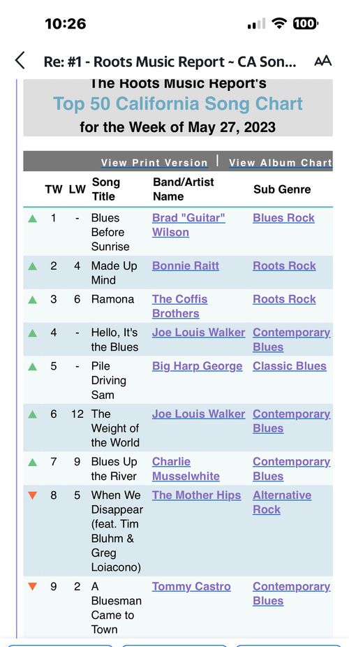 Brad "Guitar" Wilson