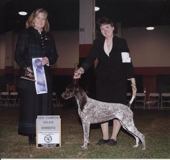 Ch Pointsetter Shoot For The Stars, finishing photo

