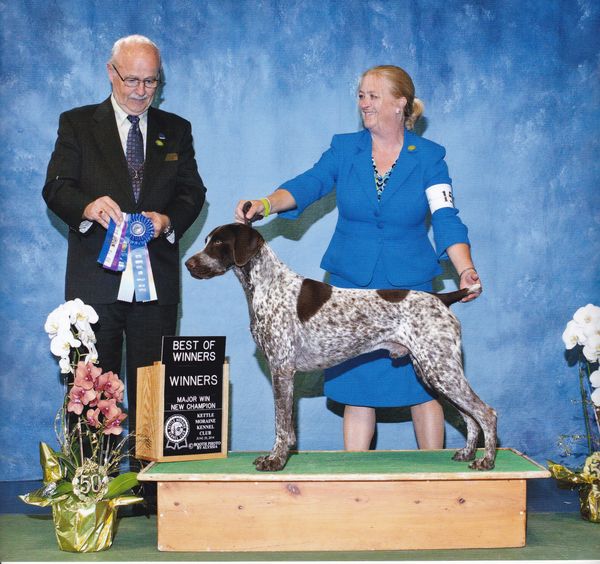 Harnoncourt Collection[4]〜[13] 2LP BACH 4 Orchestral Suites HARNONCOURT Concentus Musicus