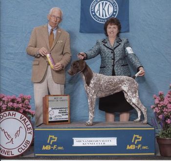 Sh Pointsetter Shoot For The Stars "Piper" BOB/ Gp2
