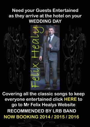Solo singer Mr Felix Healy pre wedding entertainment for your guests