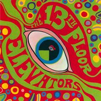 The Psychedelic Sounds of the 13th Floor Elevators by 13th Floor Elevators