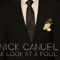A Look At A Fool by Nick Canuel