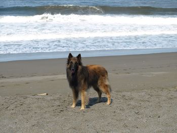 At the Oregon coast.
