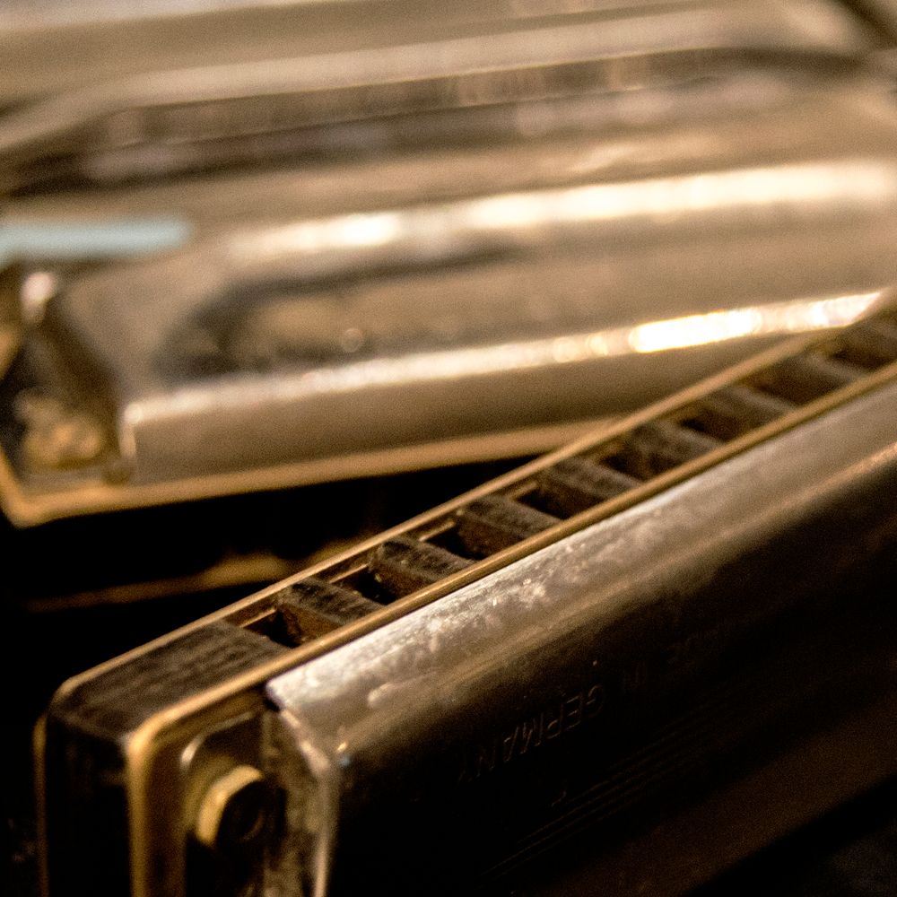 Howard Levy orchestra