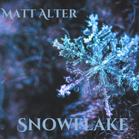 Snowflake by Matt Alter