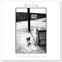 The New Hovering Dog by BJ Cole