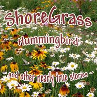 Hummingbird ~ and other nearly true stories ~ by ShoreGrass