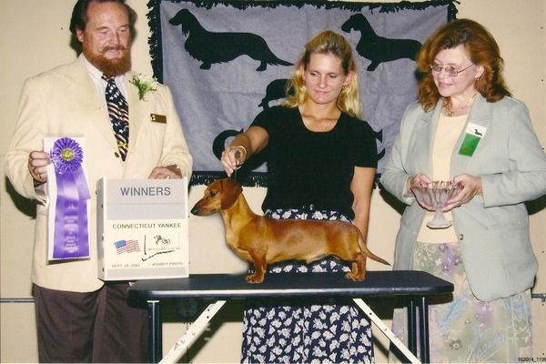 Tarlyn Dachshunds - Show Photos