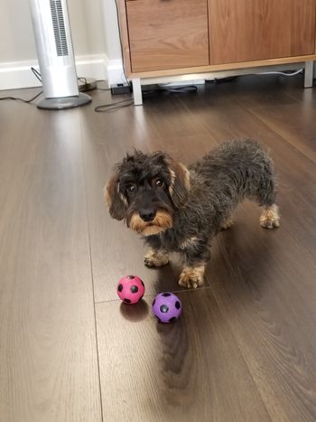 Can we play now?
