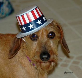 LuAnn getting ready for Labor Day
