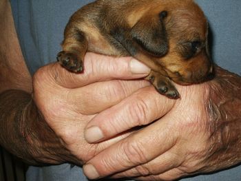 I don't want to look at the camera. 2 wks old
