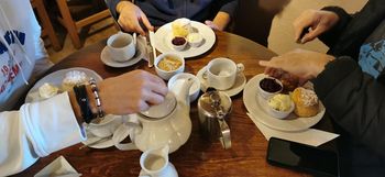 Lettuceheads Cream tea, Somerset - October 2022
