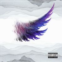 Angel Wings  by Tommy Danger