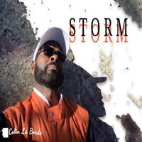  Storm by B. Colin La Borde