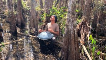 Artist In Residence in the Everglades, March of 2019
